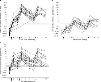 Intramuscular vaccination against SARS-CoV-2 transiently induces neutralizing IgG rather than IgA in the saliva